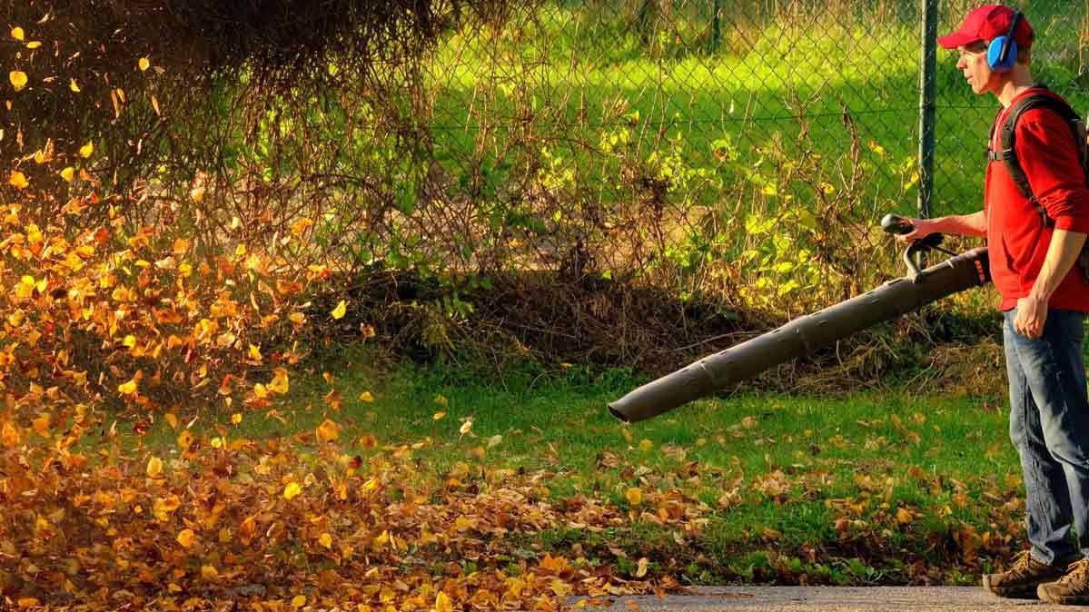 the lawn gear you need for fall cleanup - consumer reports